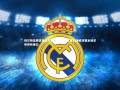 yy易游体育|荷兰预选赛优势巨大，领先波兰3分及13净胜球基本锁定世界杯席位