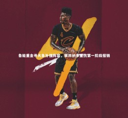 yy易游体育平台-鲁能重金寻大鱼补强阵容，莱昂纳多重伤第一阶段报销